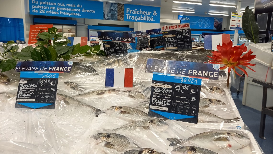 Metro France présente le guide digital « La marée de demain – consommer le poisson autrement »