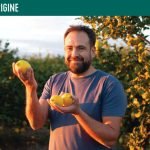 Transgourmet - Andalousie, les citrons Cedròn