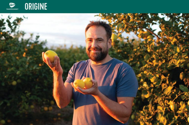 Transgourmet - Andalousie, les citrons Cedròn