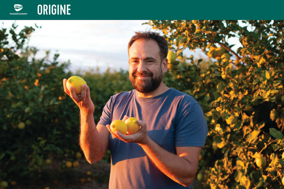 Transgourmet - Andalousie, les citrons Cedròn